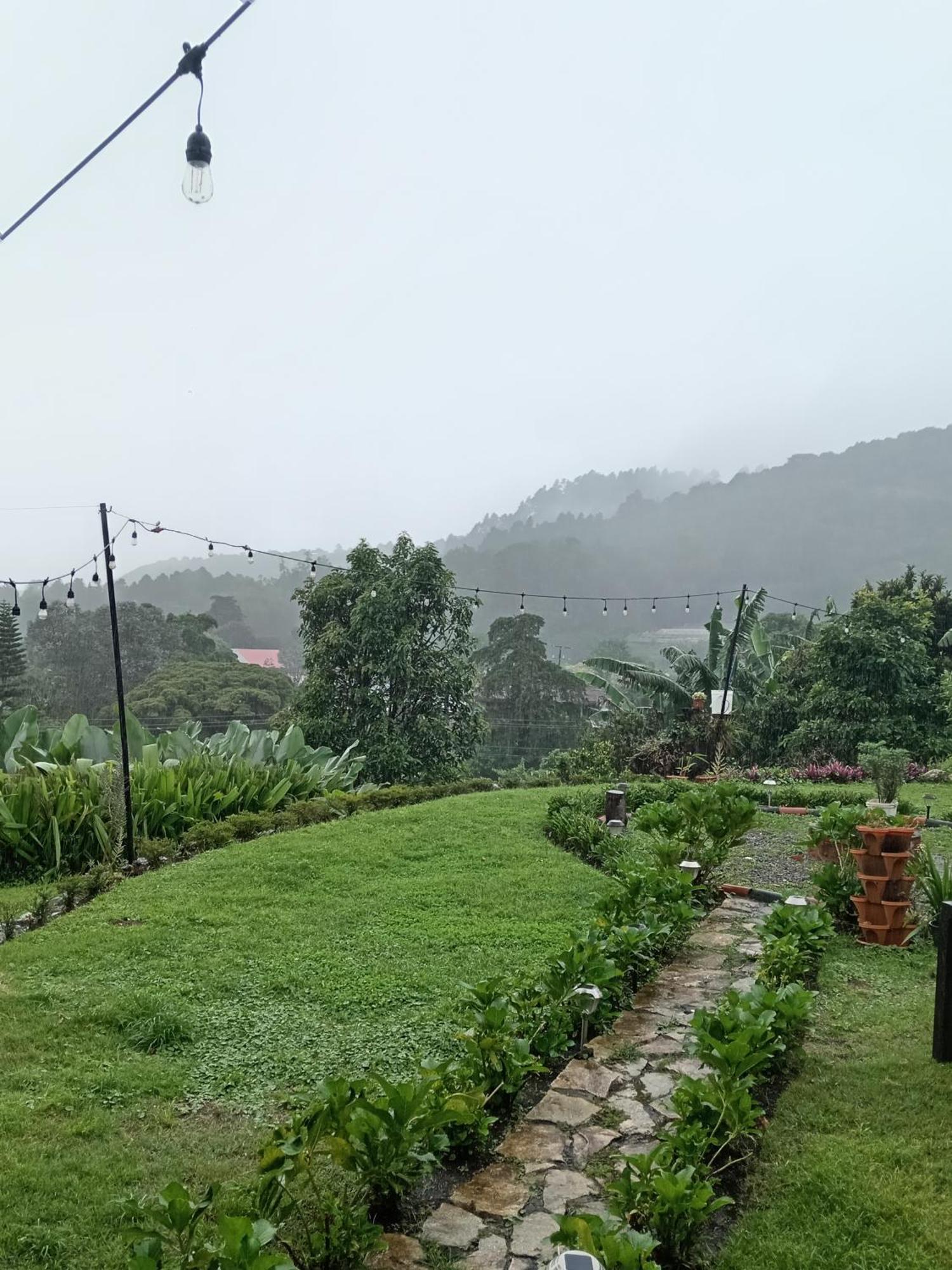 Hostal Vista Boquete Bajo Boquete Dış mekan fotoğraf