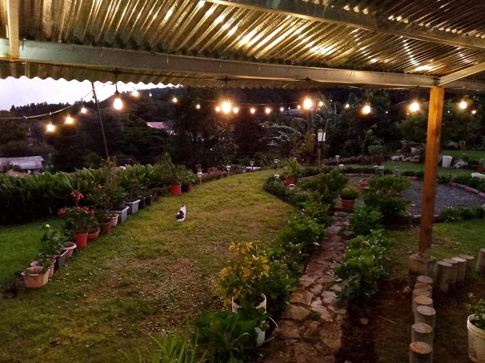 Hostal Vista Boquete Bajo Boquete Dış mekan fotoğraf