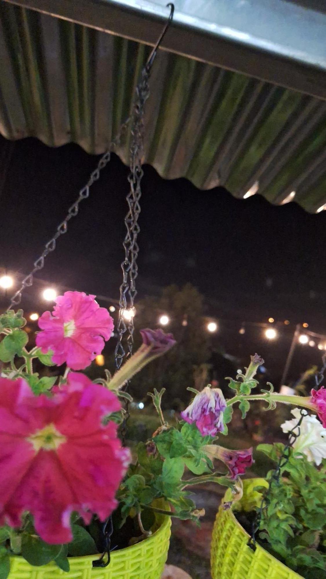 Hostal Vista Boquete Bajo Boquete Dış mekan fotoğraf
