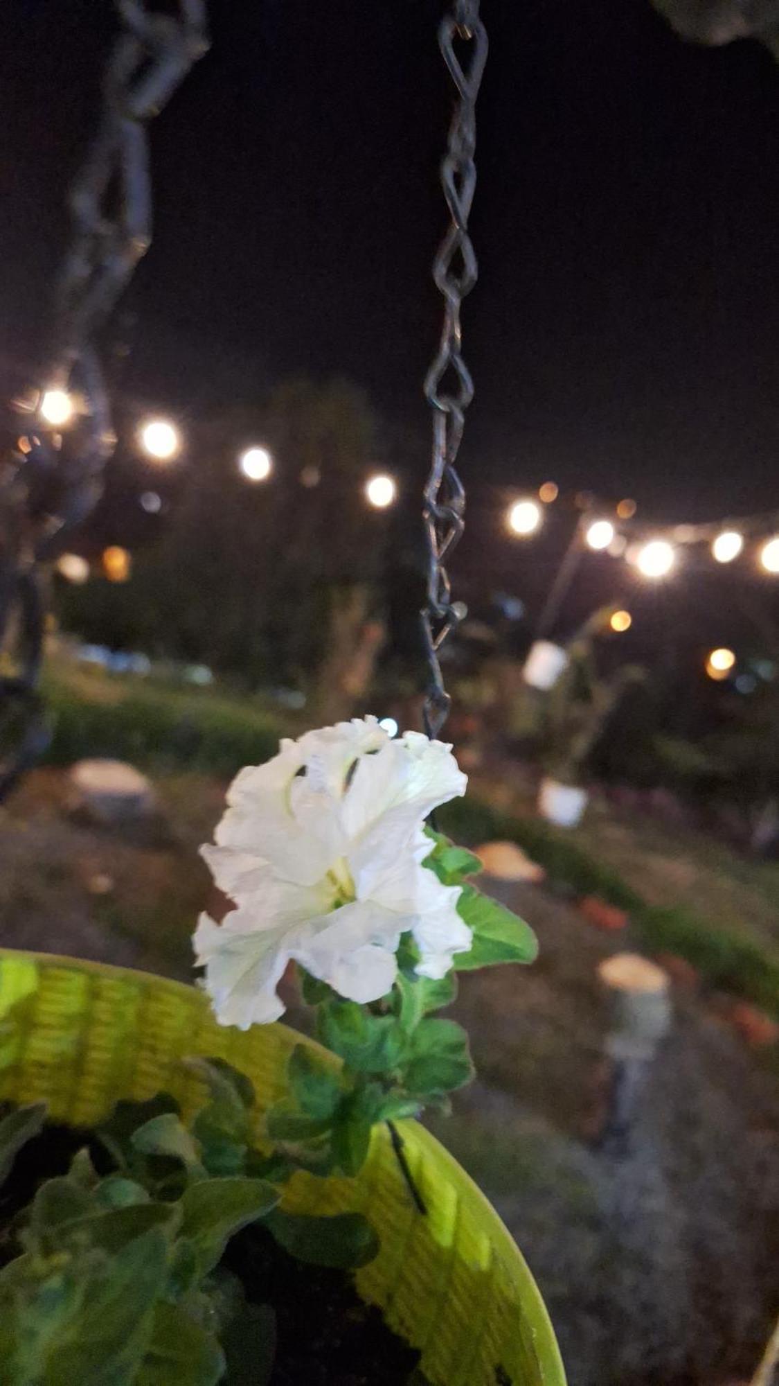 Hostal Vista Boquete Bajo Boquete Dış mekan fotoğraf