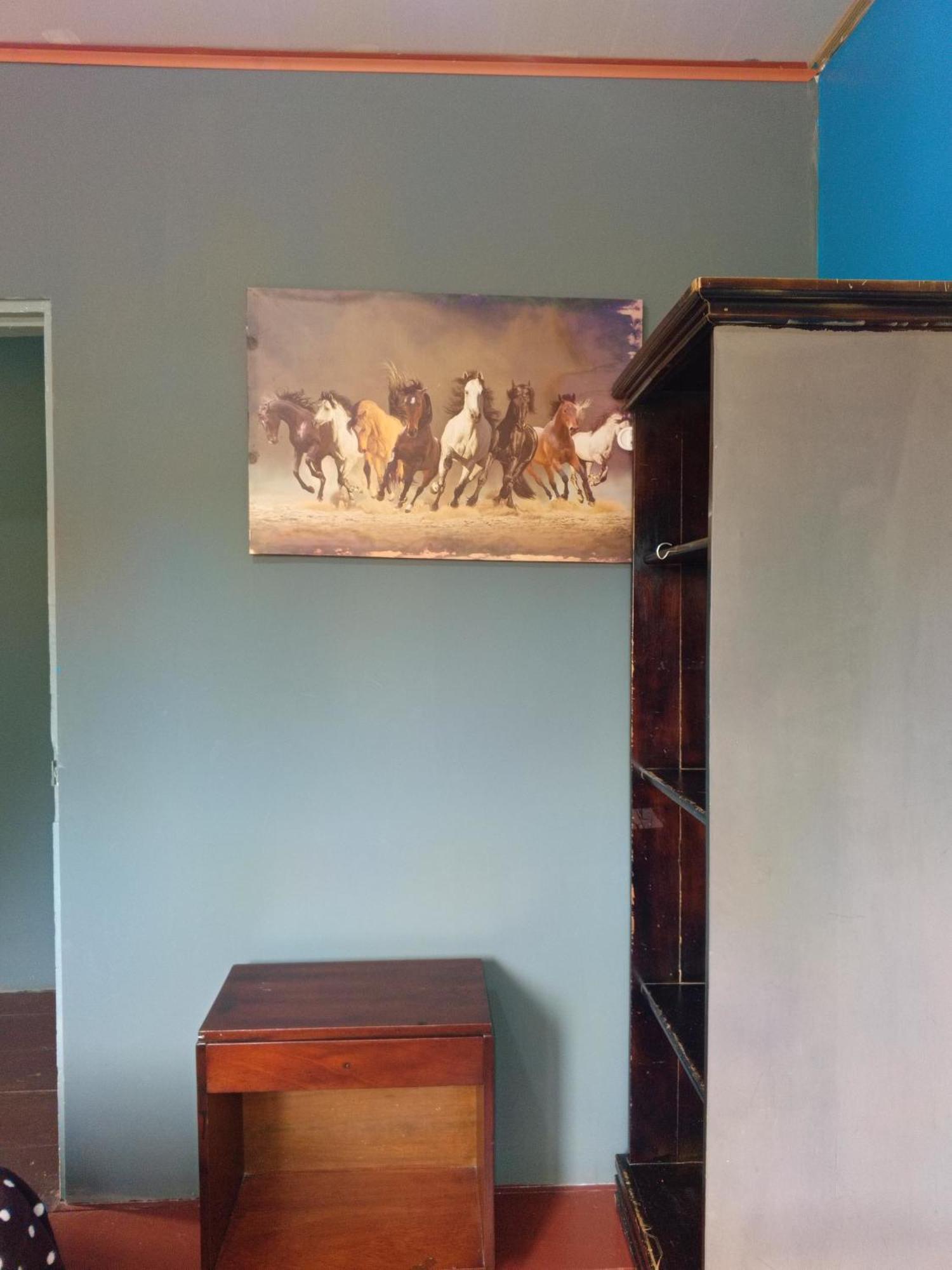 Hostal Vista Boquete Bajo Boquete Dış mekan fotoğraf