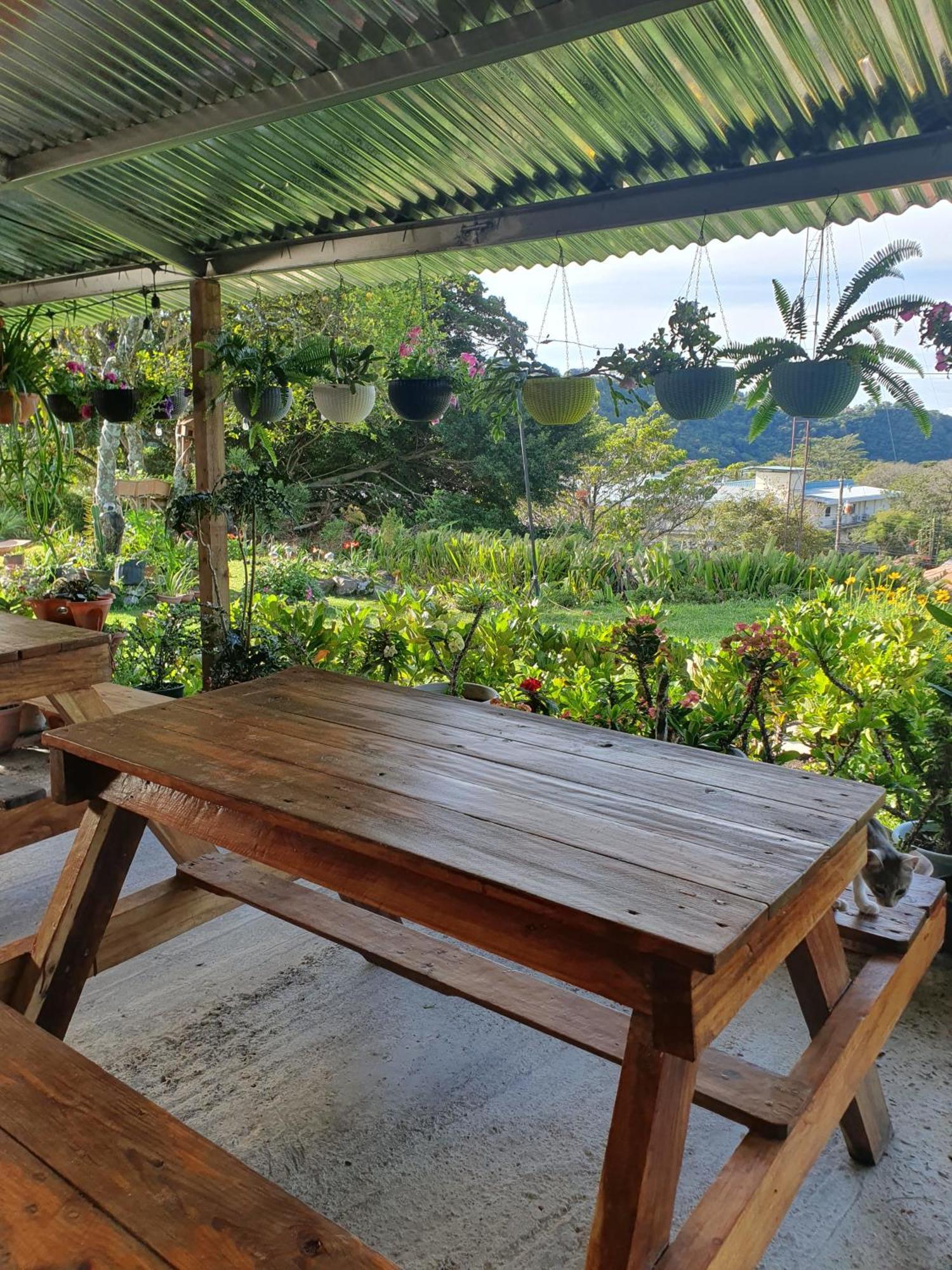 Hostal Vista Boquete Bajo Boquete Dış mekan fotoğraf