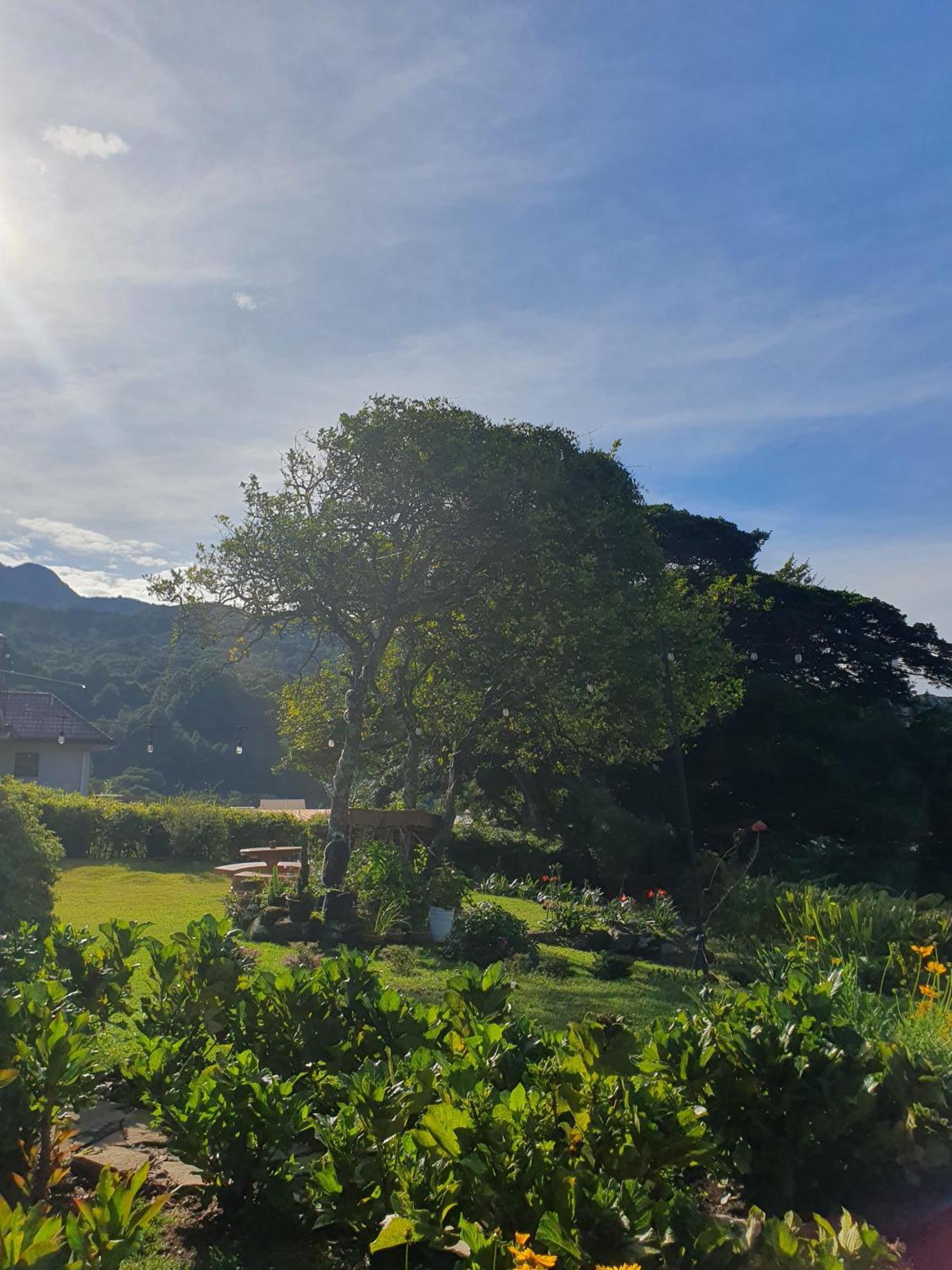 Hostal Vista Boquete Bajo Boquete Dış mekan fotoğraf